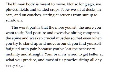 PAIN-FREE POSTURE HANDBOOK by LORA PAVILACK & NIKKI ALSTEDTER PDF