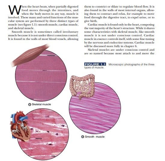 Physiology of Sport and Exercise by Jack H. Wilmore PDF