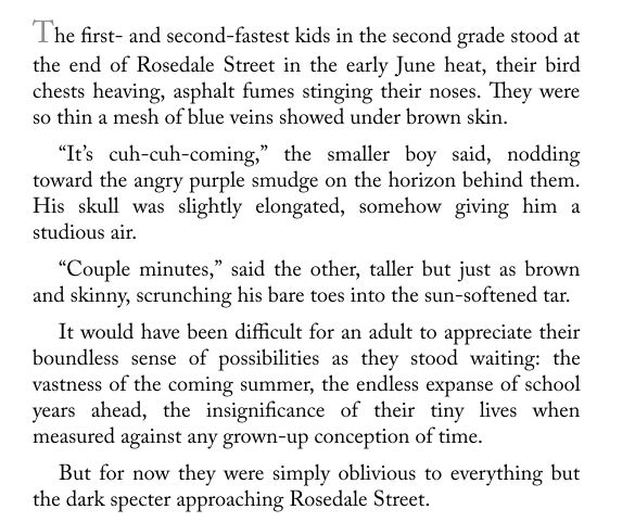 Racing the Rain by John L. Parker Jr. PDF