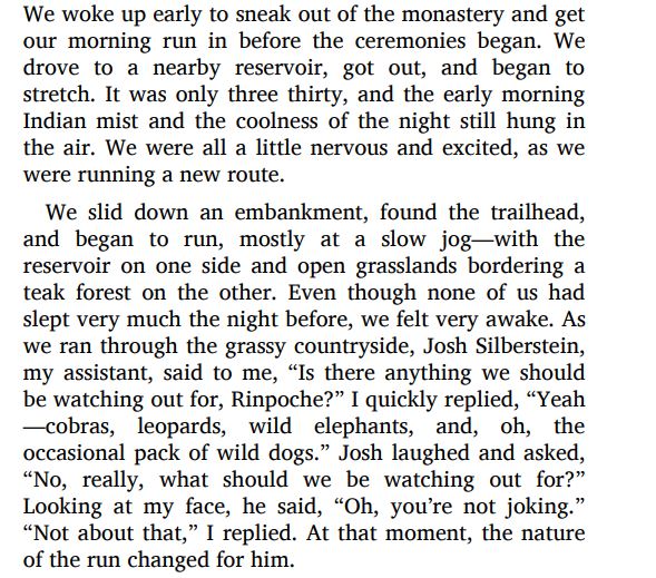 Running with the Mind of Meditation by Sakyong Mipham PDF