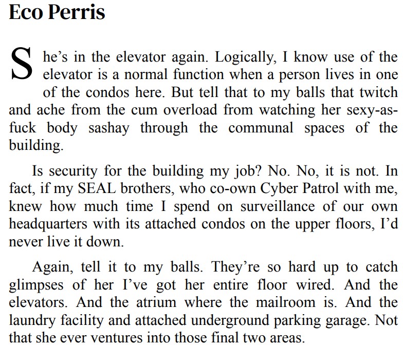 SNOW CAM DO BY LAYNE DANIELS 