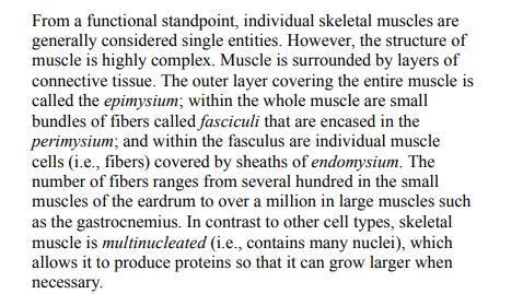 Science and Development of Muscle Hypertrophy by Brad Schoenfeld PDF