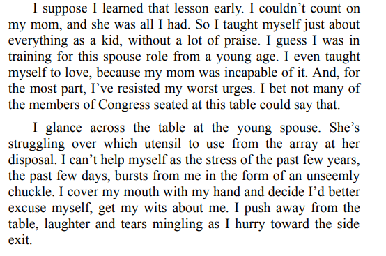 THE WIDOW BY KAIRA ROUDA PDF