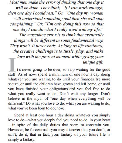 The Way of the Superior Man by David Deida