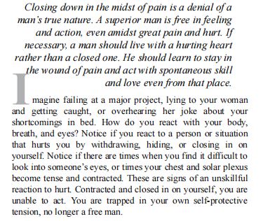 The Way of the Superior Man by David Deida