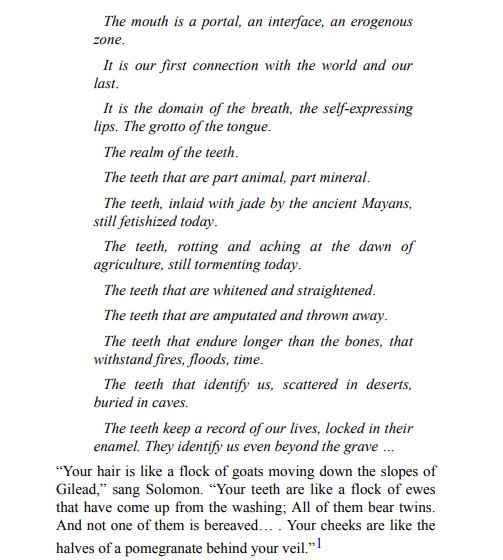 Teeth by Mary Otto PDF