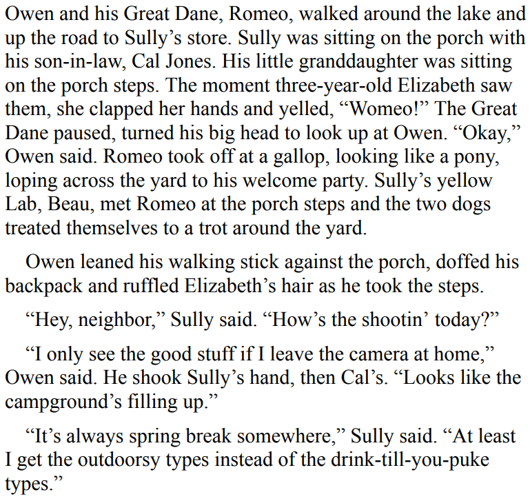 The Country Guesthouse by Robyn Carr 