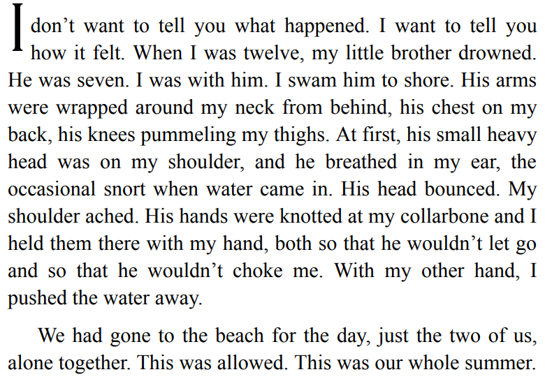 The Furrows by Namwali Serpell 