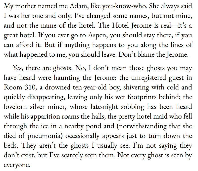 The Last Chairlift by John Irving 