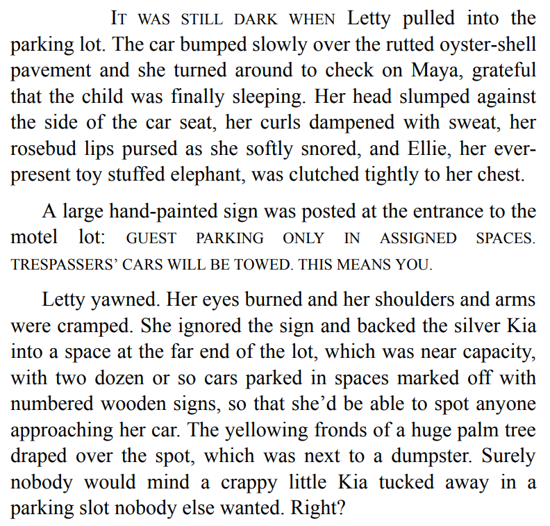 The Newcomer by Mary Kay Andrews 