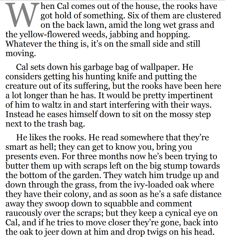 The Searcher BY Tana French 