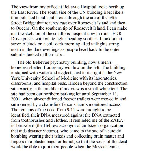 Twelve Patients by Eric Manheimer PDF