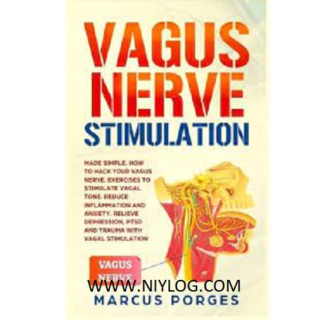 Vagus Nerve by Marcus Porges