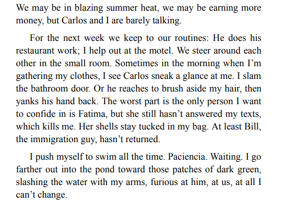 We Are All We Have by Marina Budhos PDF