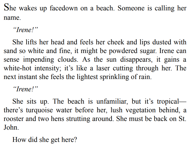 What Happens in Paradise by Elin Hilderbrand