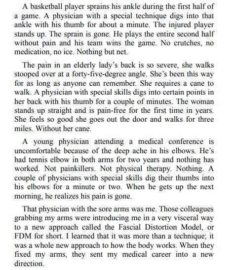 Why Does It Hurt by Todd A. Capistrant PDF