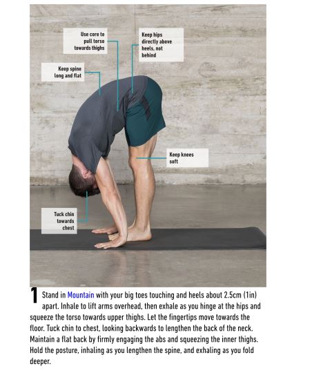 Yoga Fitness for Men by Dean Pohlman PDF