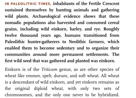 Einkorn by Carla Bartolucci