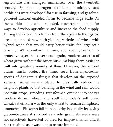 Einkorn by Carla Bartolucci