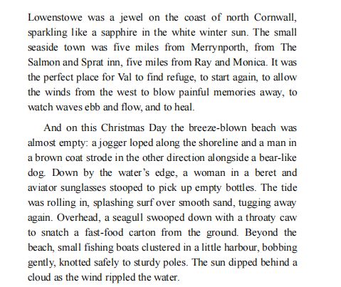 A Year of Mr Maybes by Judy Leigh