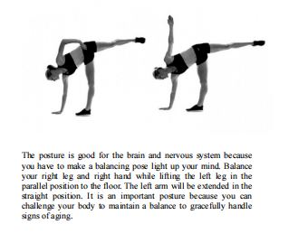 Calisthenics Workout Bible by Bruce Harlow