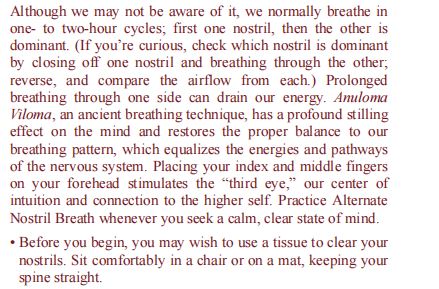 Essential Yoga by Olivia H. Miller