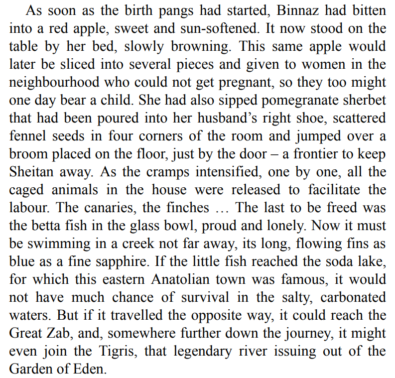 10 Minutes 38 Seconds in This Strange World by Elif Shafak