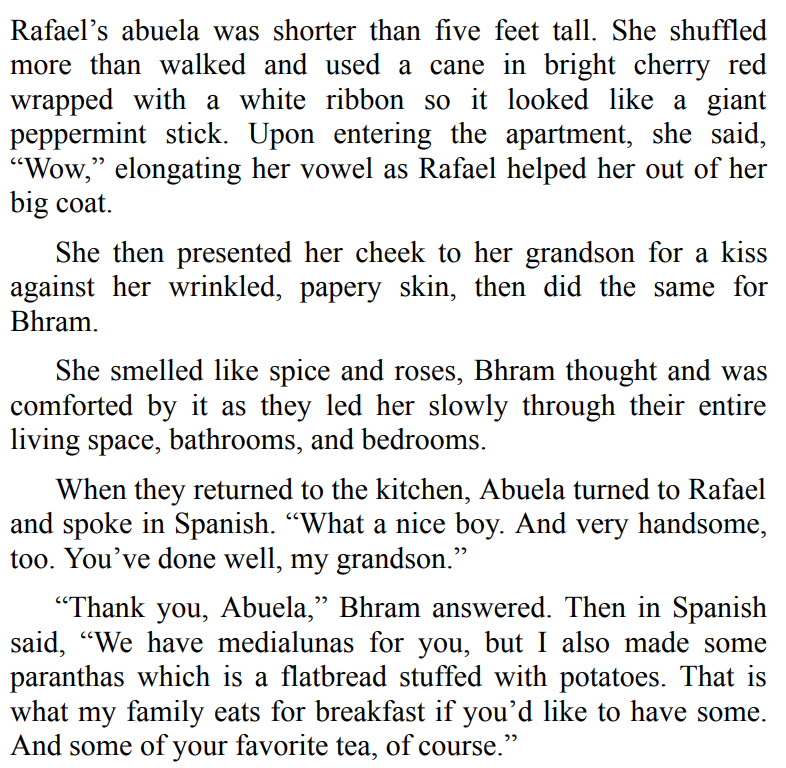 A Singh Family Christmas by Nisha Sharma