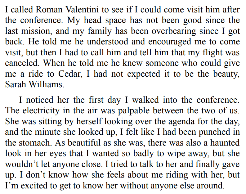 DRIVING HOME FOR CHRISTMAS BY BELLA LANE