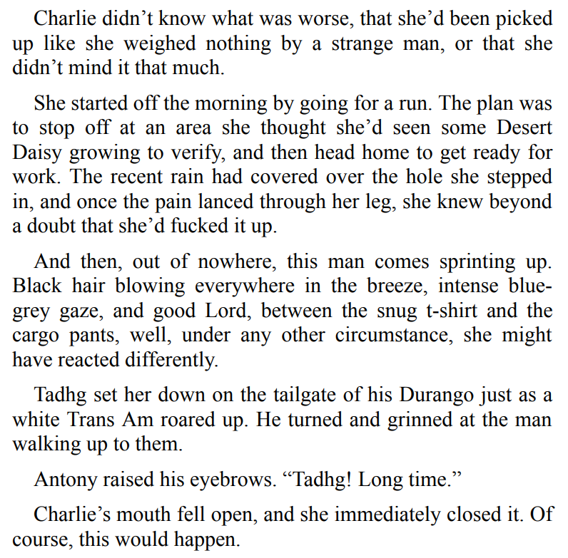 Guarded by Kimber Delaney 