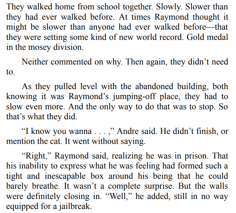 Have You Seen Luis Velez? by Catherine Ryan Hyde