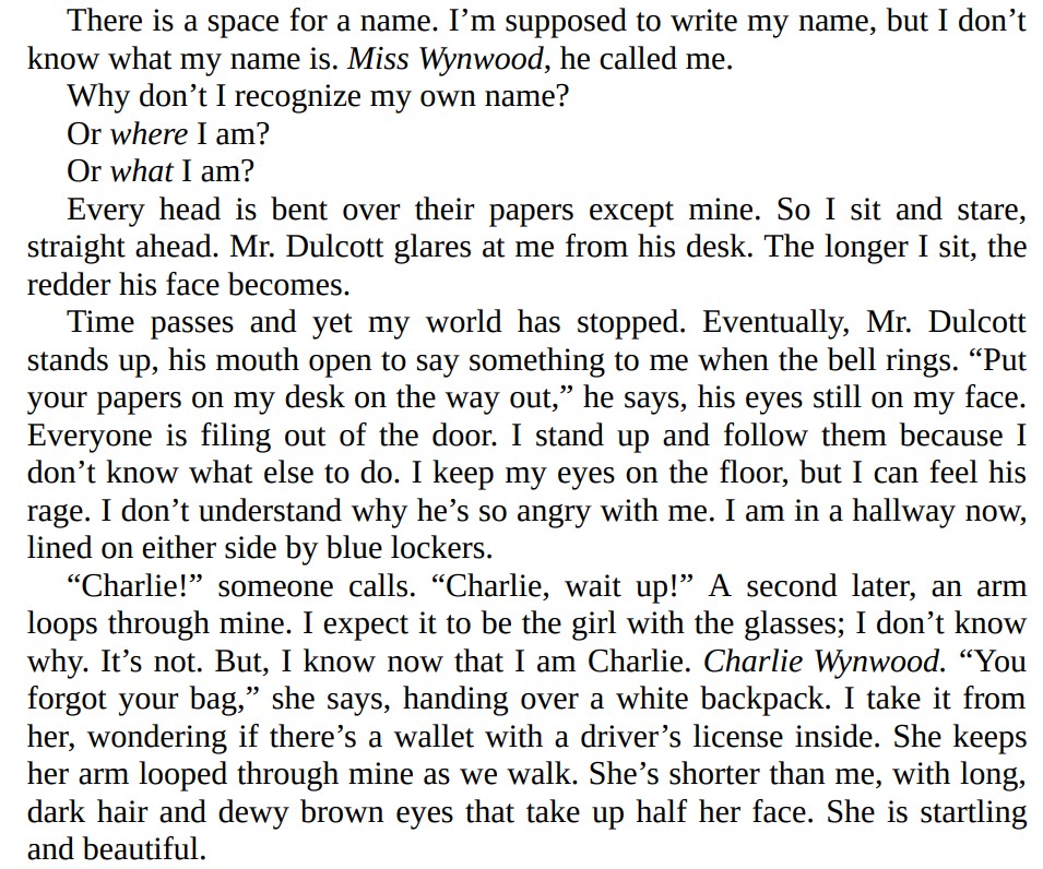 Never Never by Colleen Hoover 