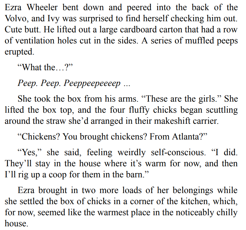 The Santa Suit by Mary Kay Andrews 