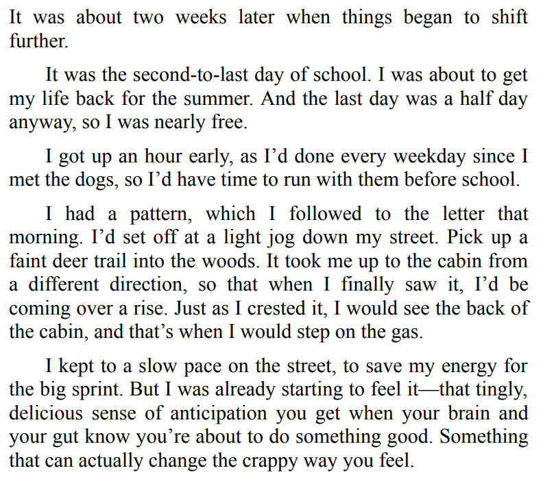 Stay by Catherine Ryan Hyde 