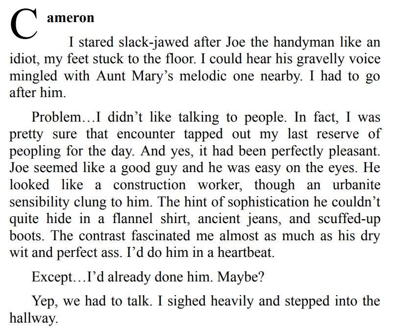 THE HUMBUG HOLIDAY BY LANE HAYES