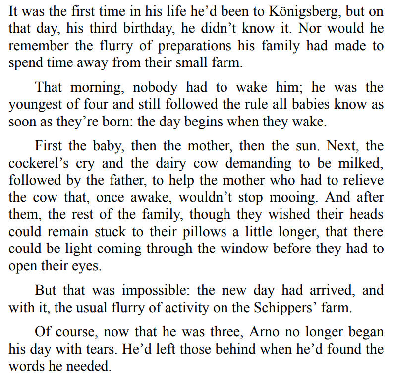 Tears of Amber BY Sofía Segovia 