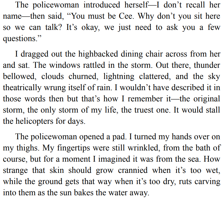 The Furrows by Namwali Serpell 