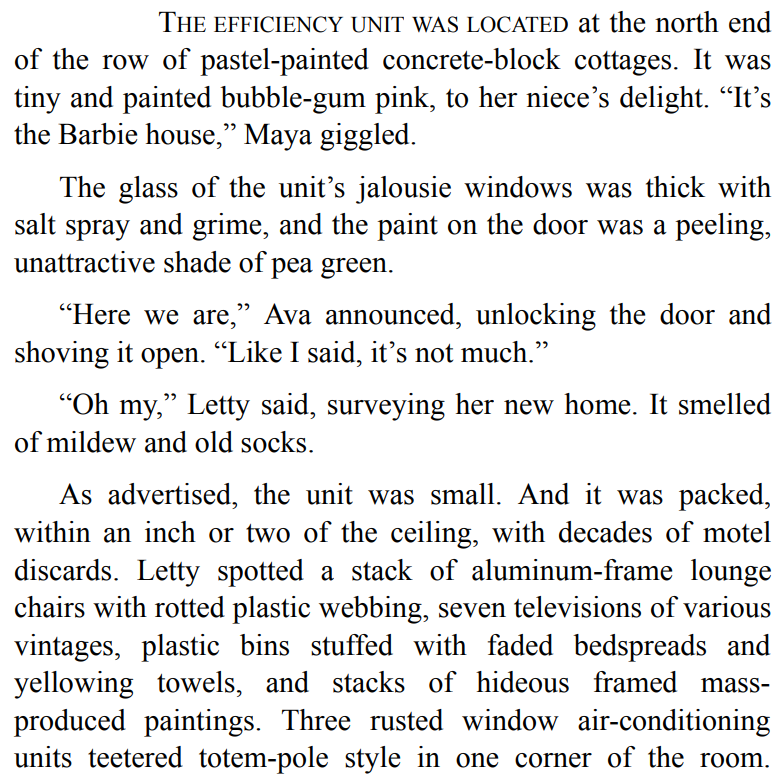 The Newcomer by Mary Kay Andrews