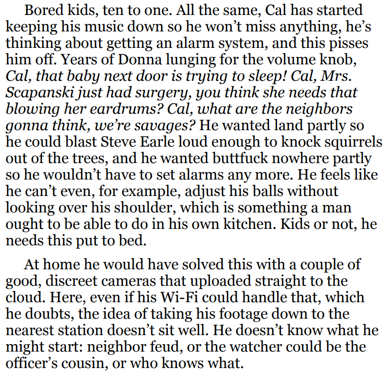 The Searcher BY Tana French