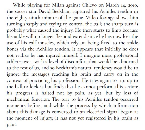 Download An Anatomy of Pain PDF Book free. An Anatomy of Pain is an absolute page-turner from page one. The prose is beautifully written