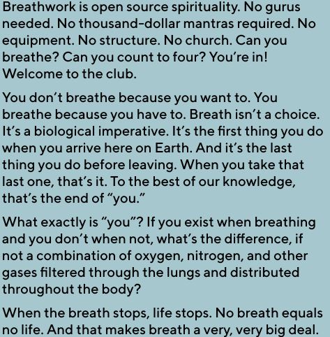 www niylog.com Breathwork by Andrew Smart ePub