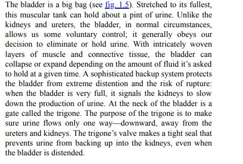 Dr. Patrick Walsh's Guide to Surviving Prostate Cancer by Patrick C. Walsh PDF