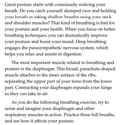 PAIN-FREE POSTURE HANDBOOK by LORA PAVILACK & NIKKI ALSTEDTER PDF