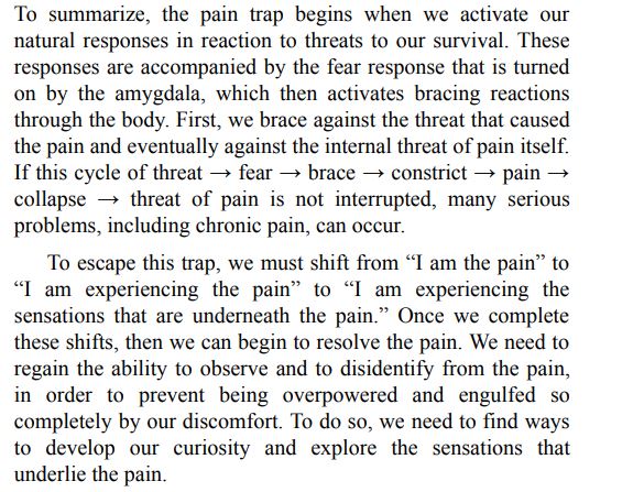 Freedom from Pain by Peter A. Levine PDF