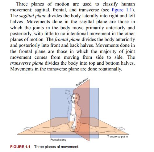 Functional Training Anatomy by Kevin Carr PDF