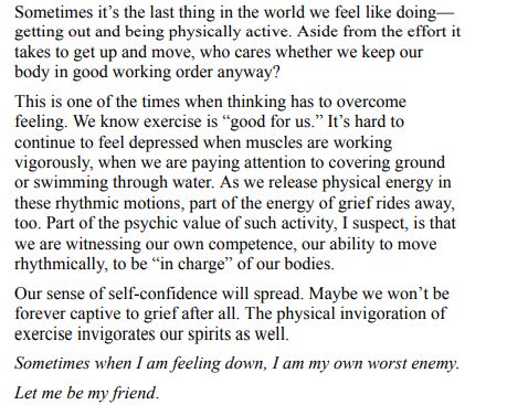 Healing After Loss Daily Meditations by Martha W. Hickman PDF