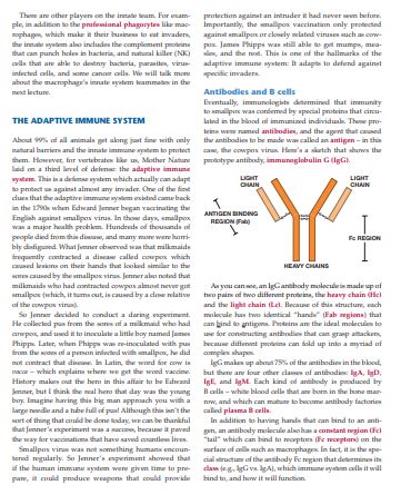 How the Immune System Works by Lauren Sompayrac PDF