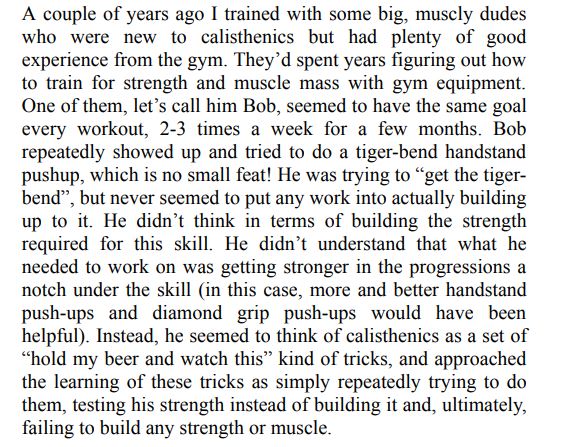 Hypertrophy and calisthenics THE PRIO SYSTEM by Kristoffer Lidengren. PDF