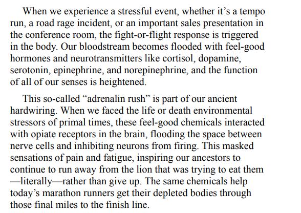 Primal Endurance by Mark Sisson PDF