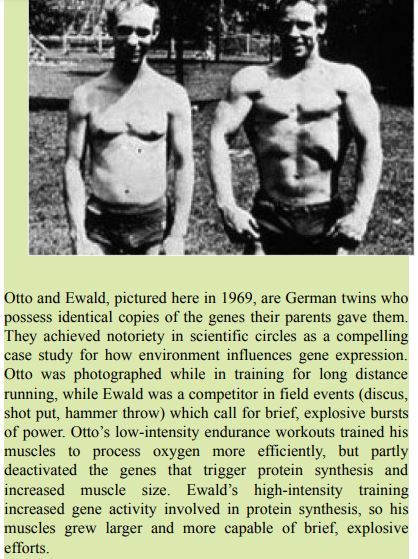 www niylog.com The Pants of Perspective by Anna McNuff ePub